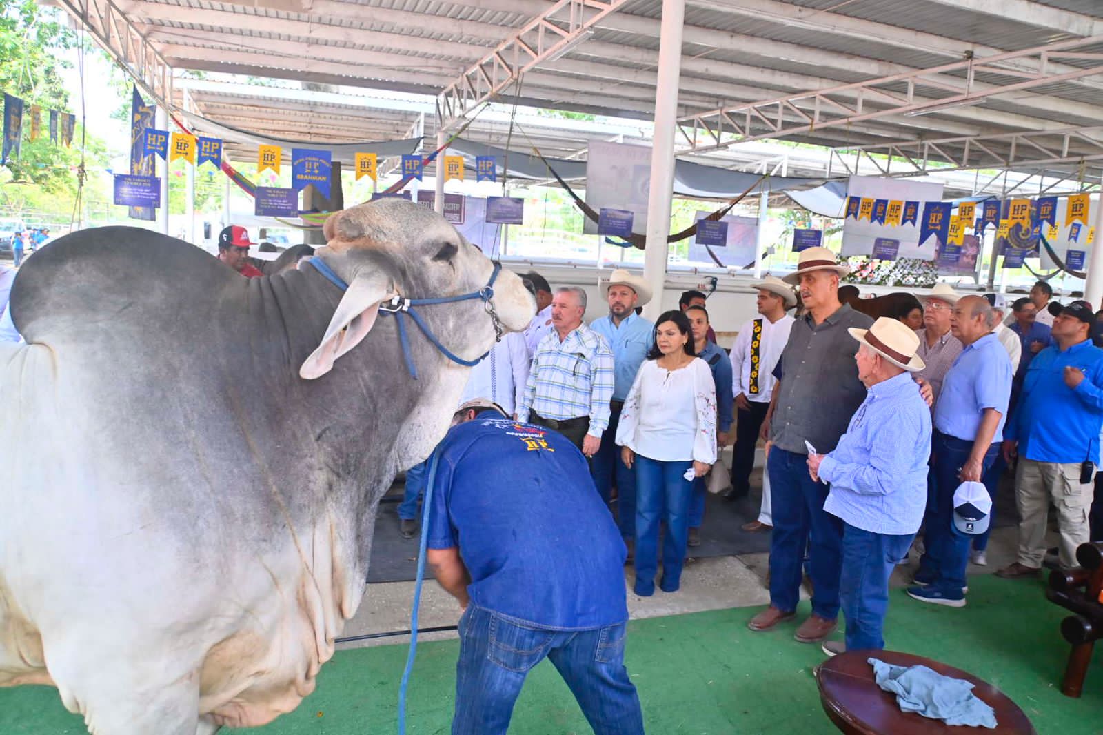 imagen del encabezado