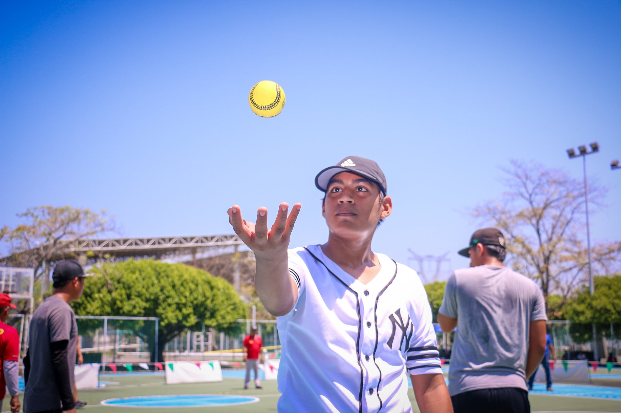 imagen del encabezado