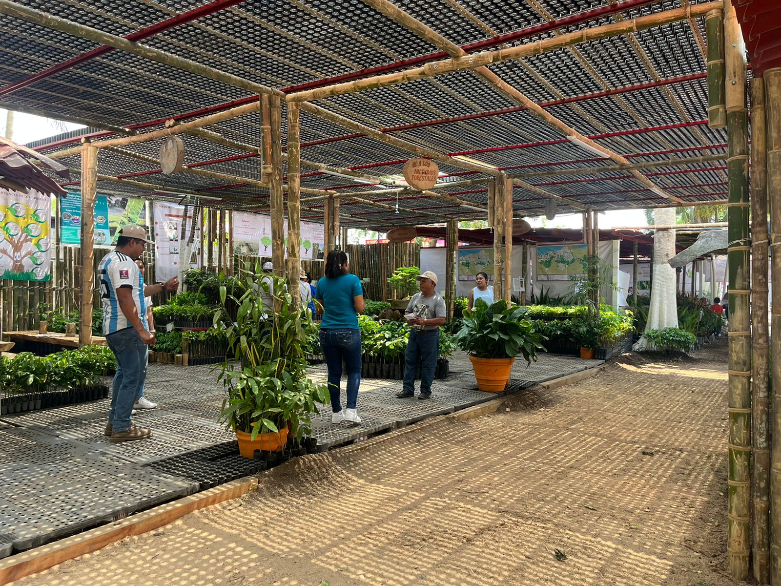 imagen del encabezado