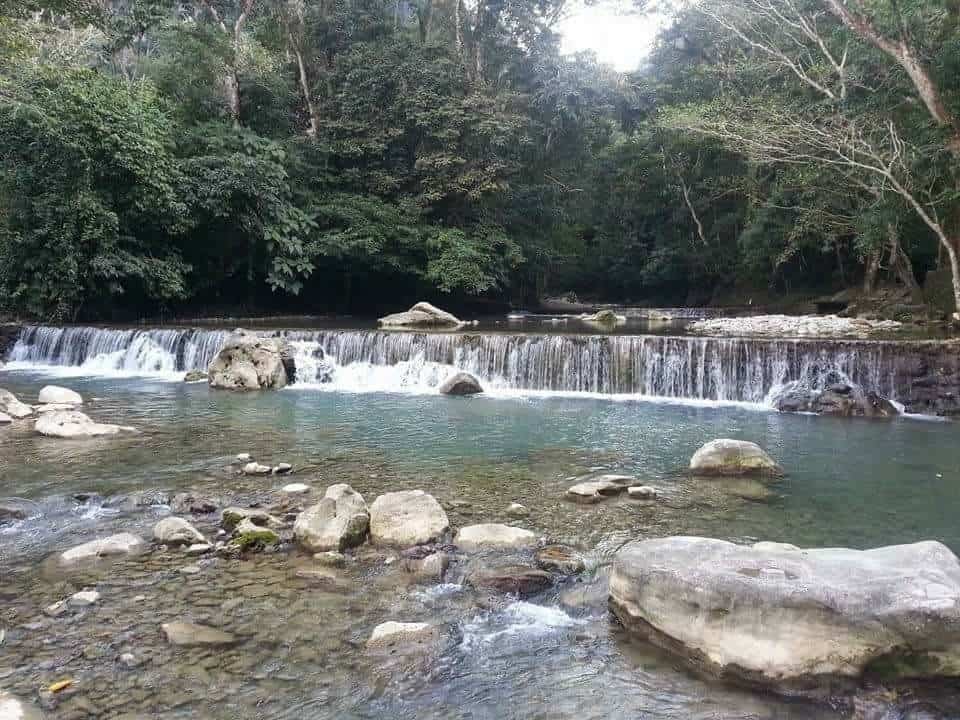 imagen del encabezado