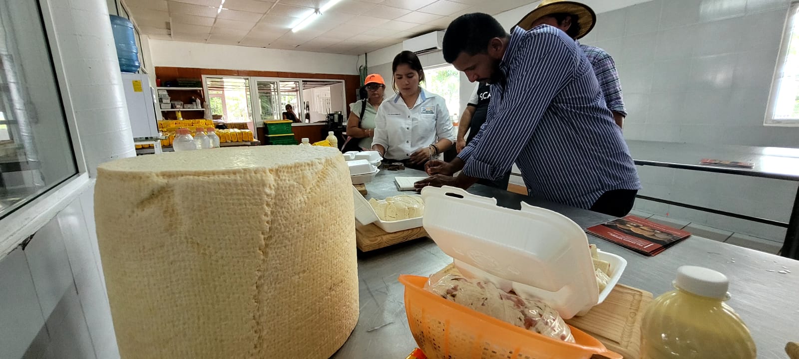 imagen del encabezado