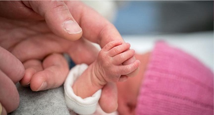 imagen del encabezado