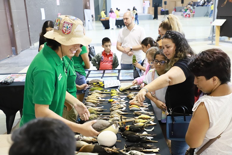 imagen del encabezado