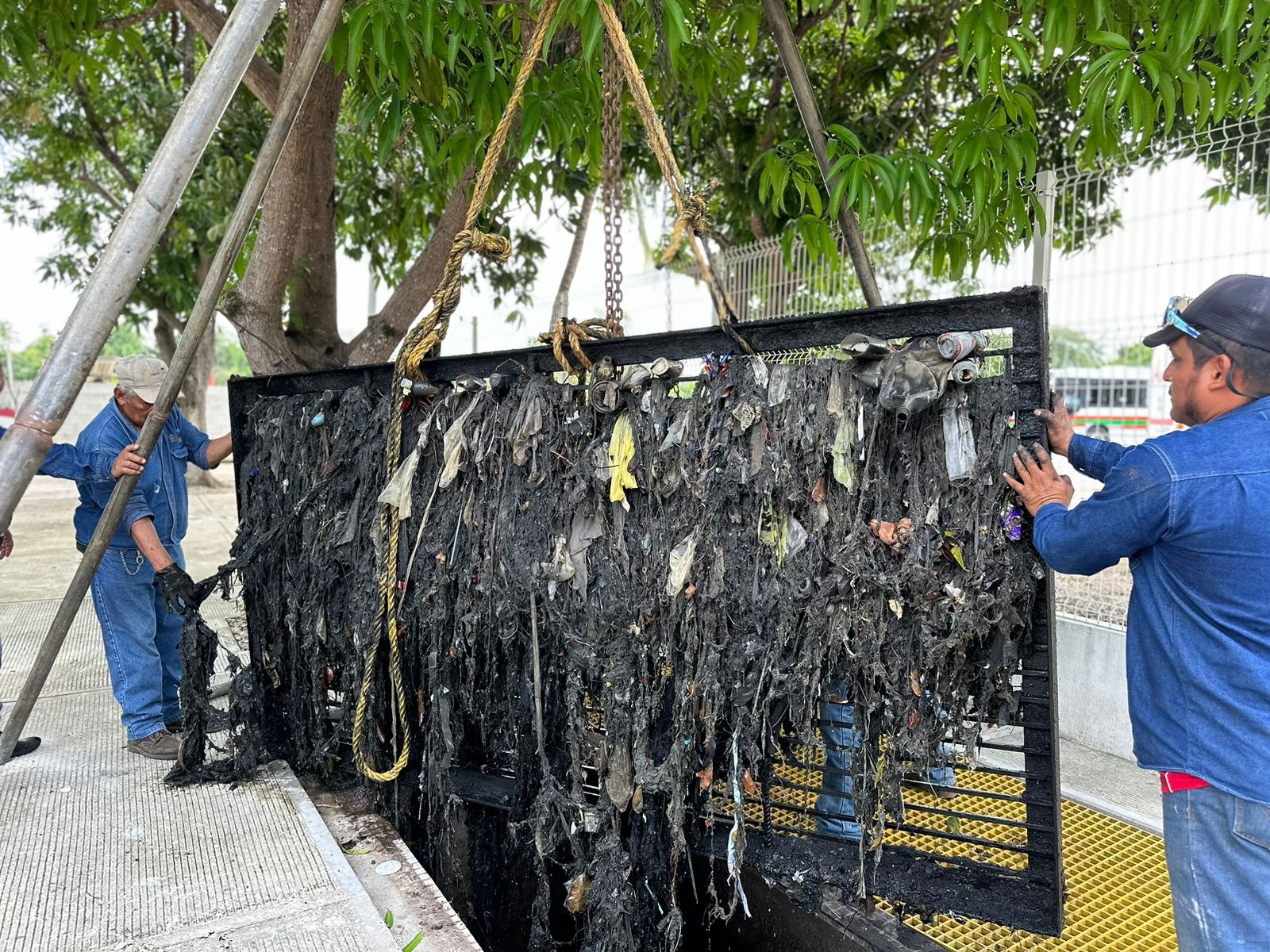 imagen del encabezado