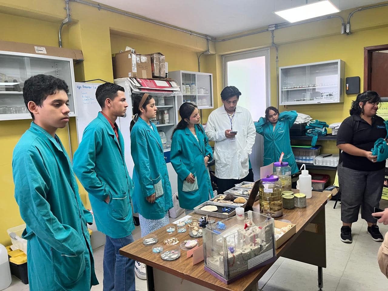 imagen del encabezado