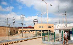 imagen del encabezado