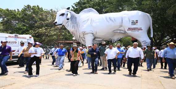 imagen del encabezado
