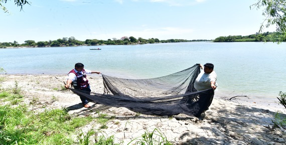 imagen del encabezado