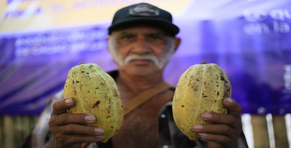 imagen del encabezado