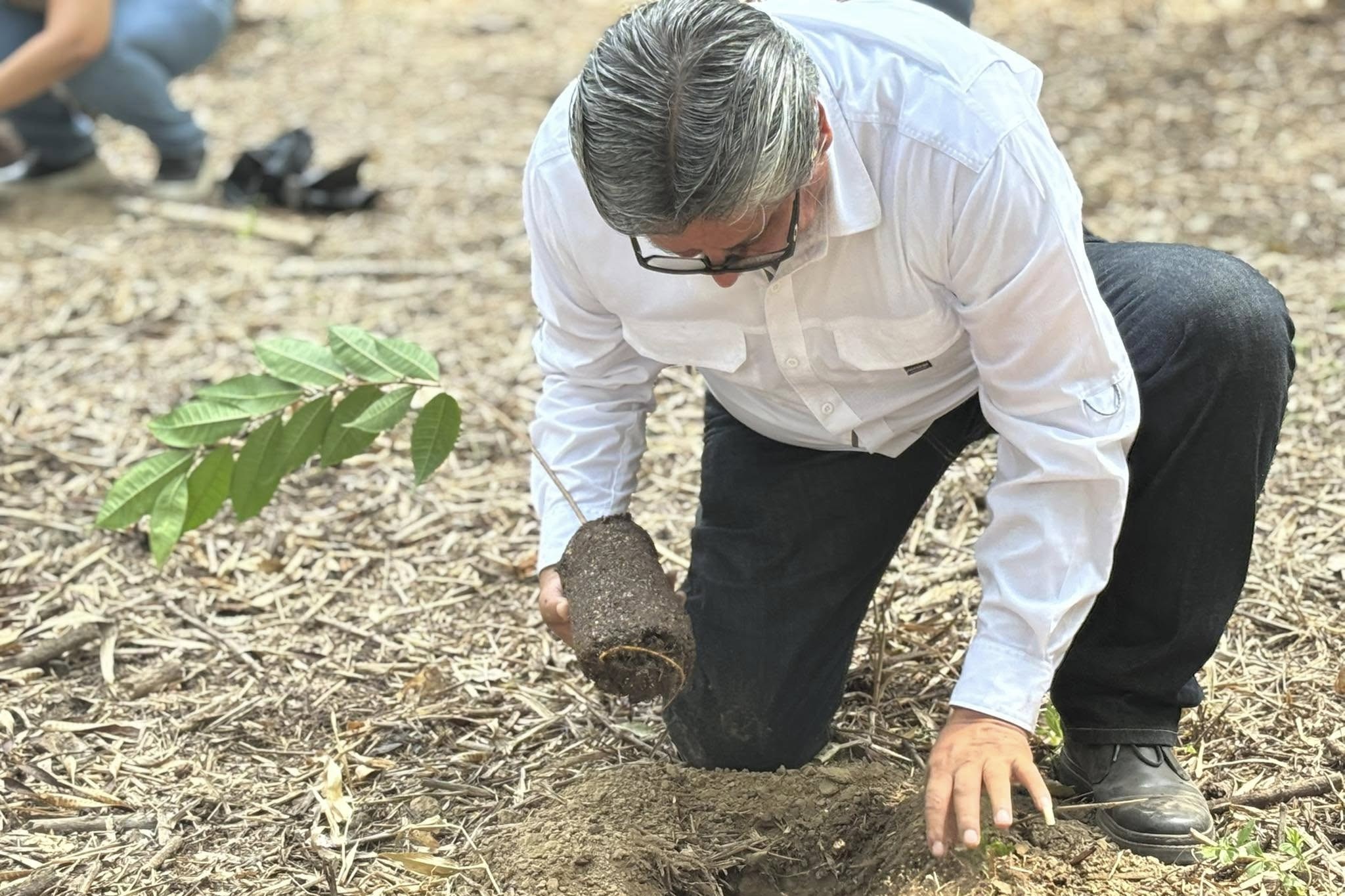 Titular Víctor Correa