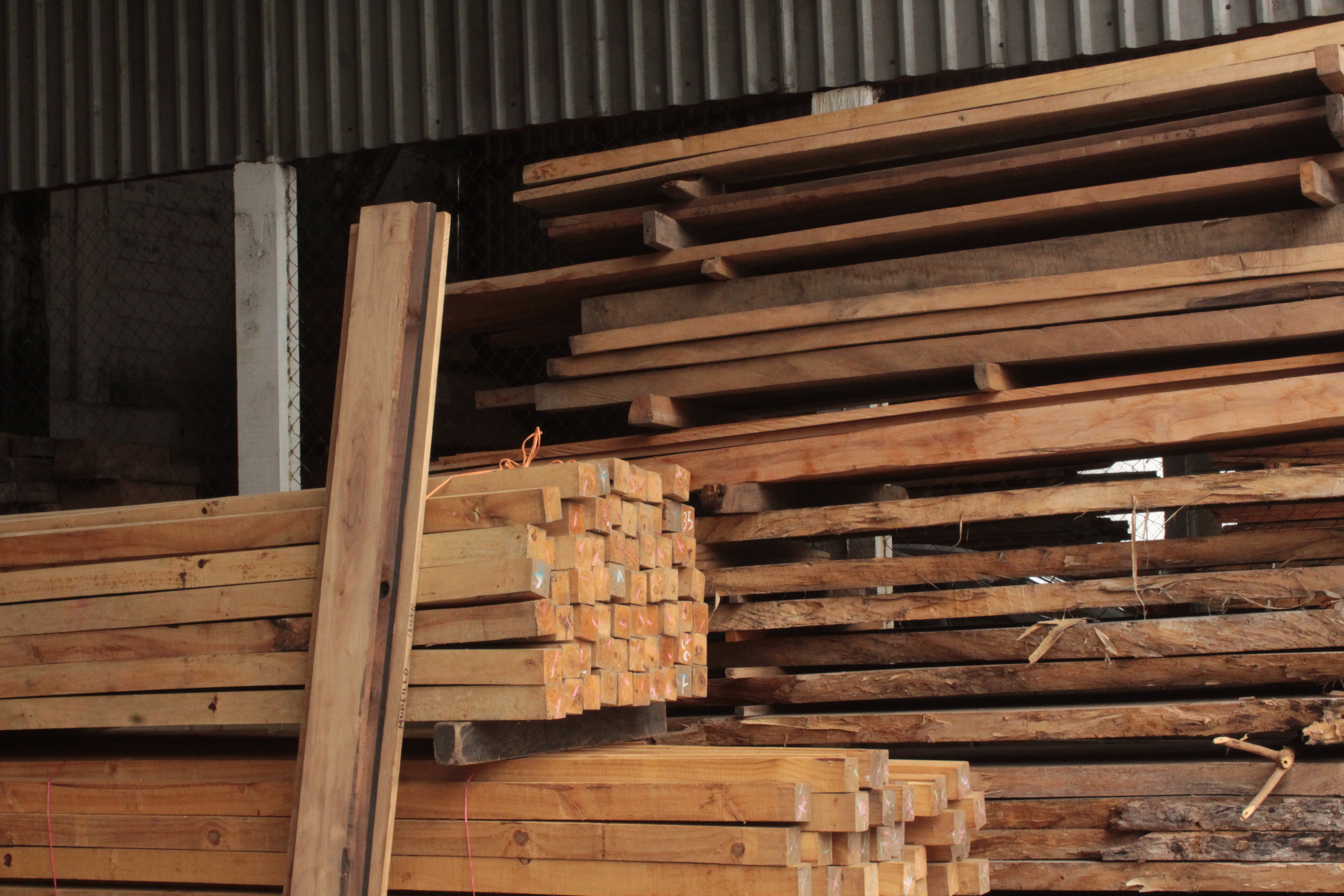 cadena productiva forestal