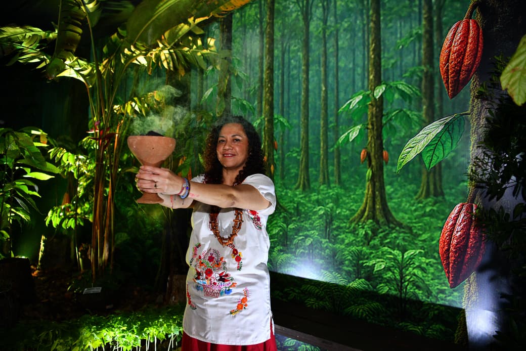 imagen del encabezado