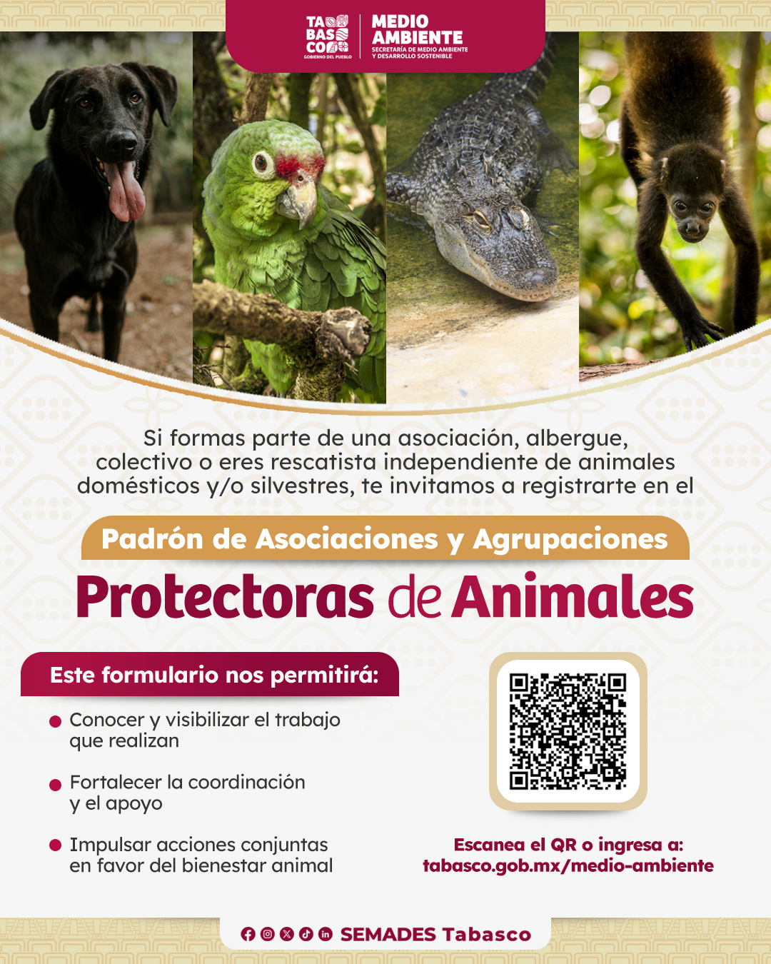 PADRON DE ASOCIACIONES Y AGRUPACIONES PROTECTORAS DE ANIMALES