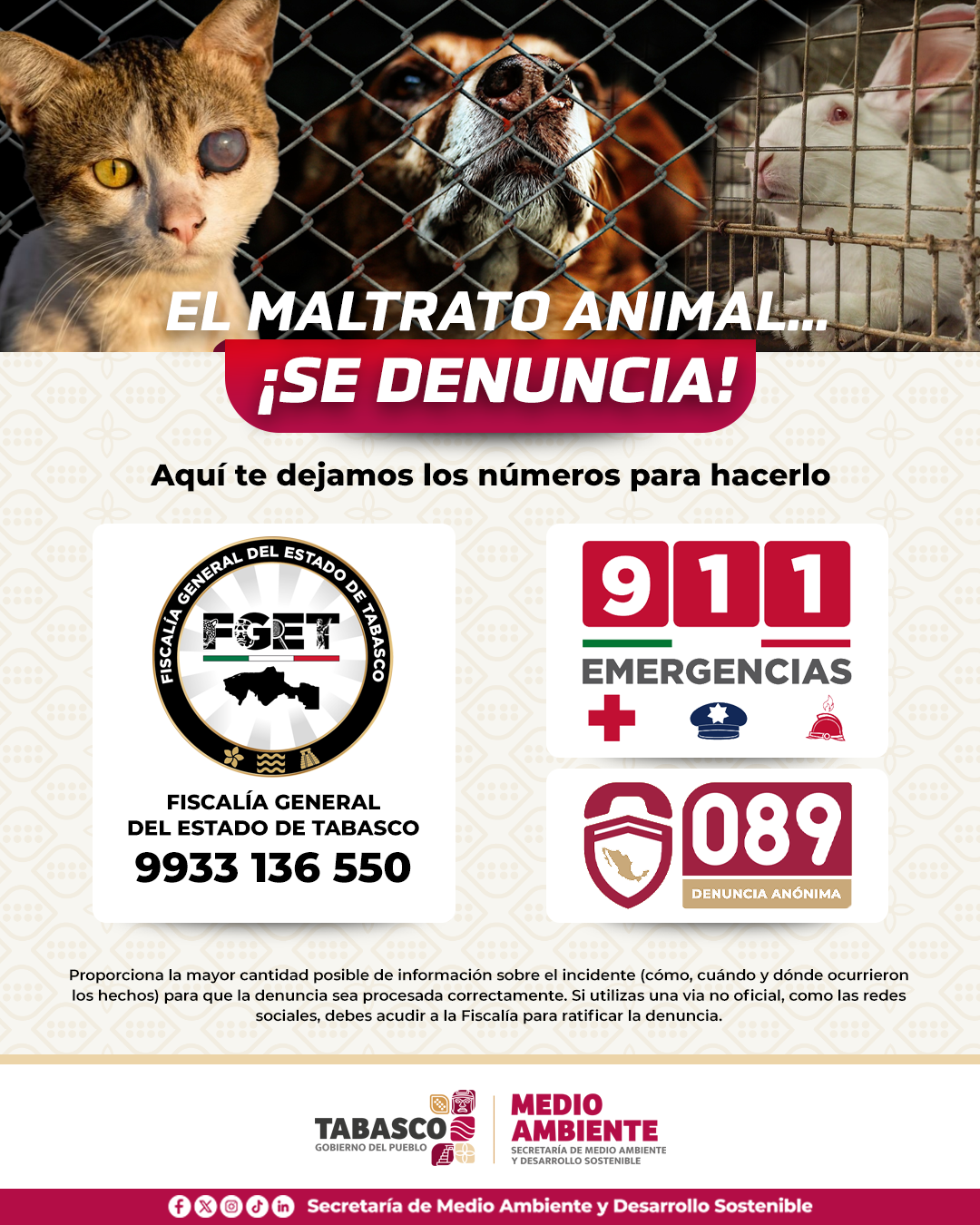 El maltrato animal se denuncia 