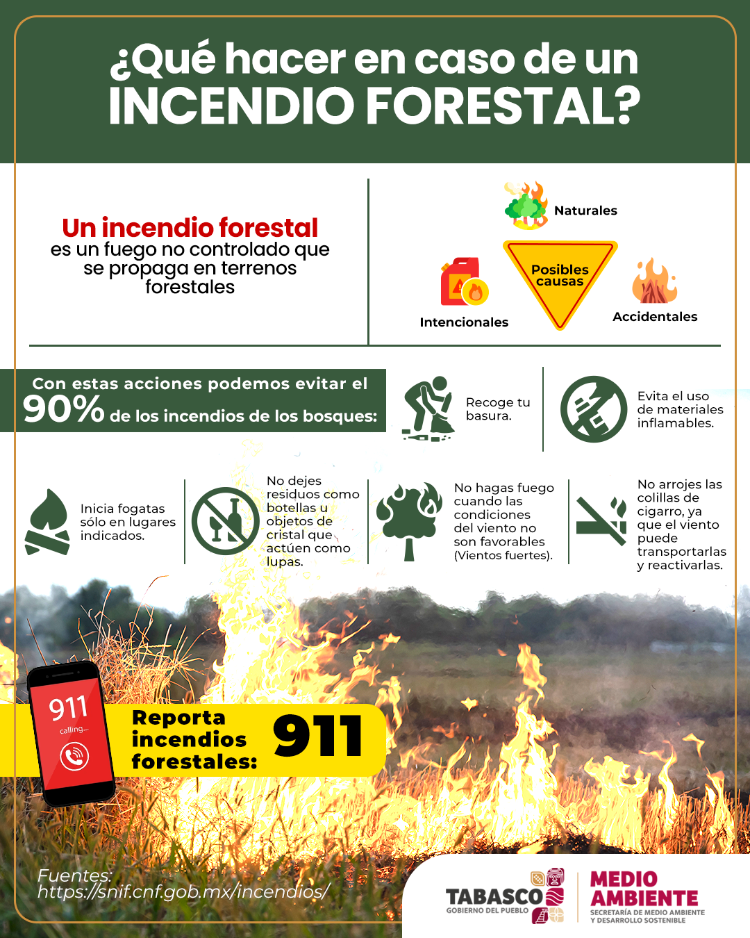 INCENDIO FORESTAL