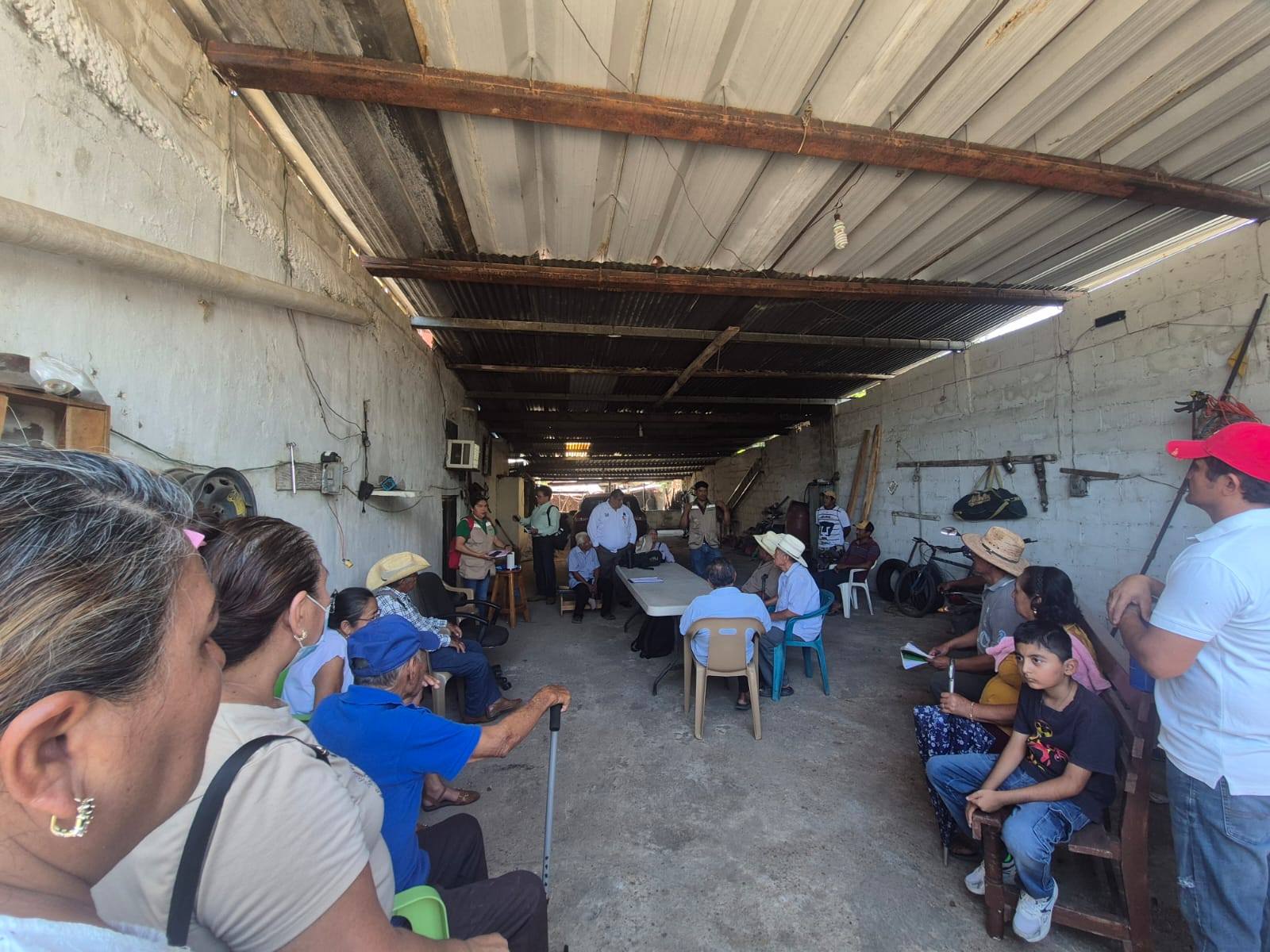 Reuniones seguimiento IEAT-Sembrando Vida