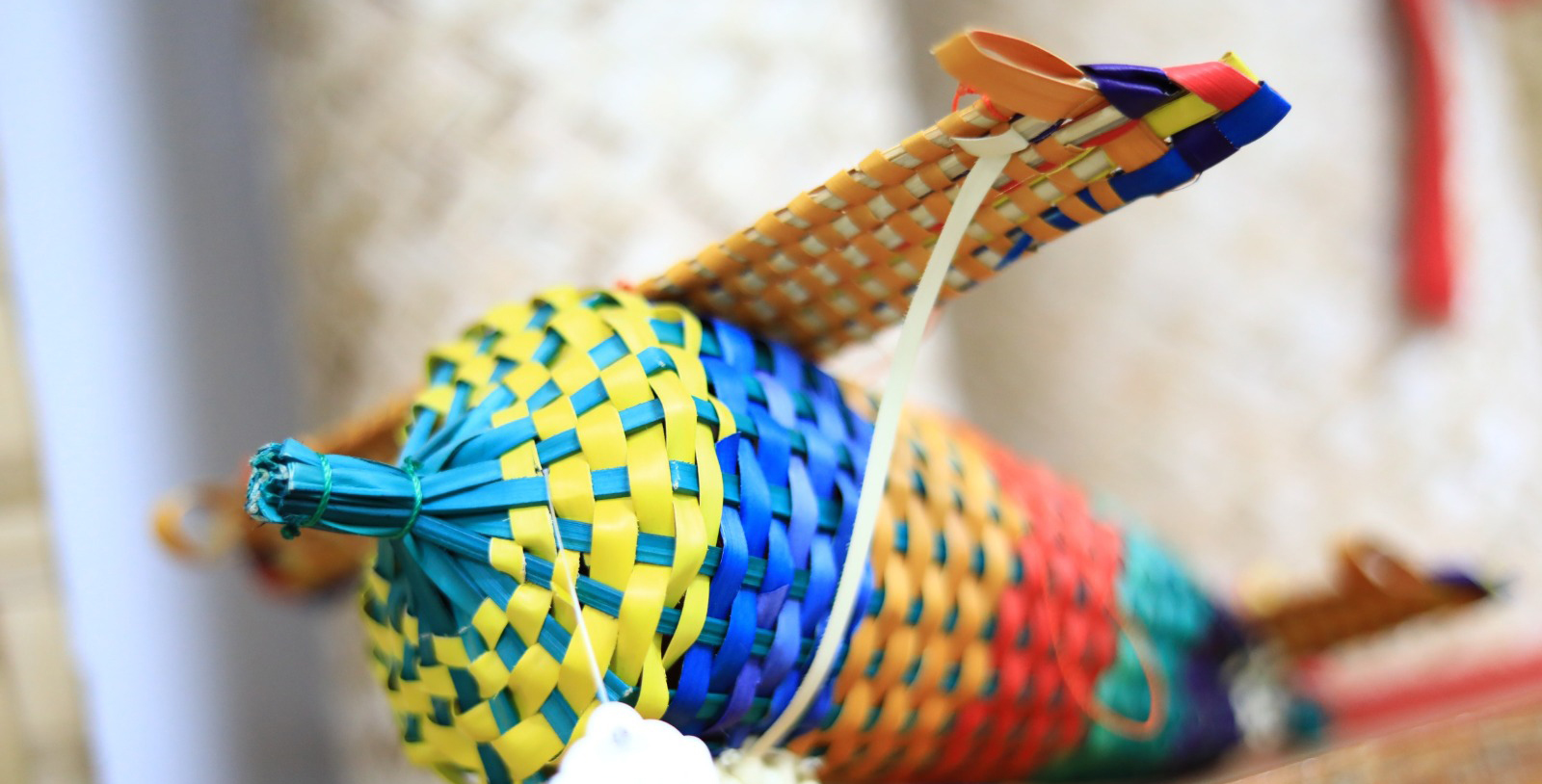 imagen del encabezado