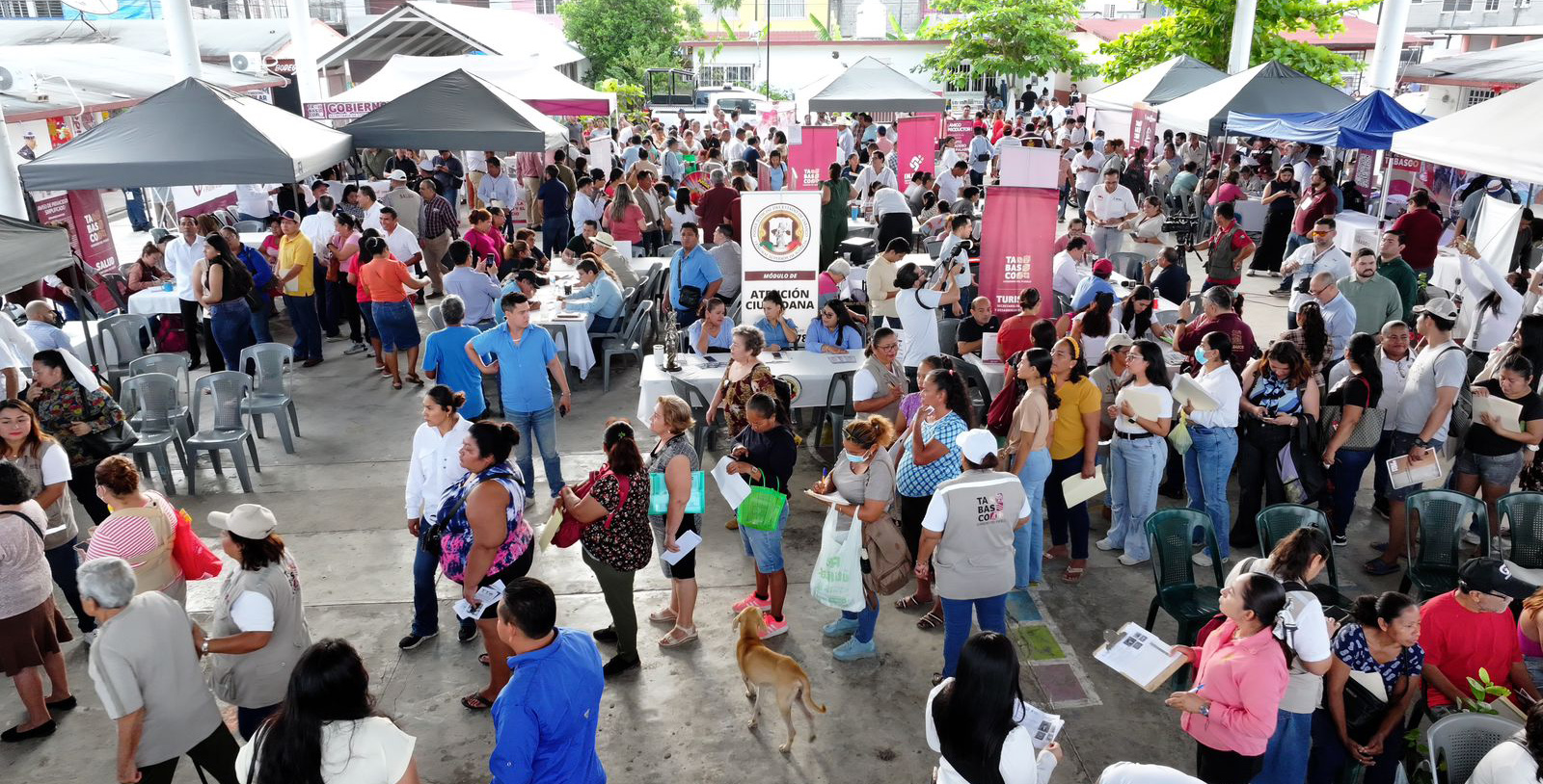 imagen del encabezado