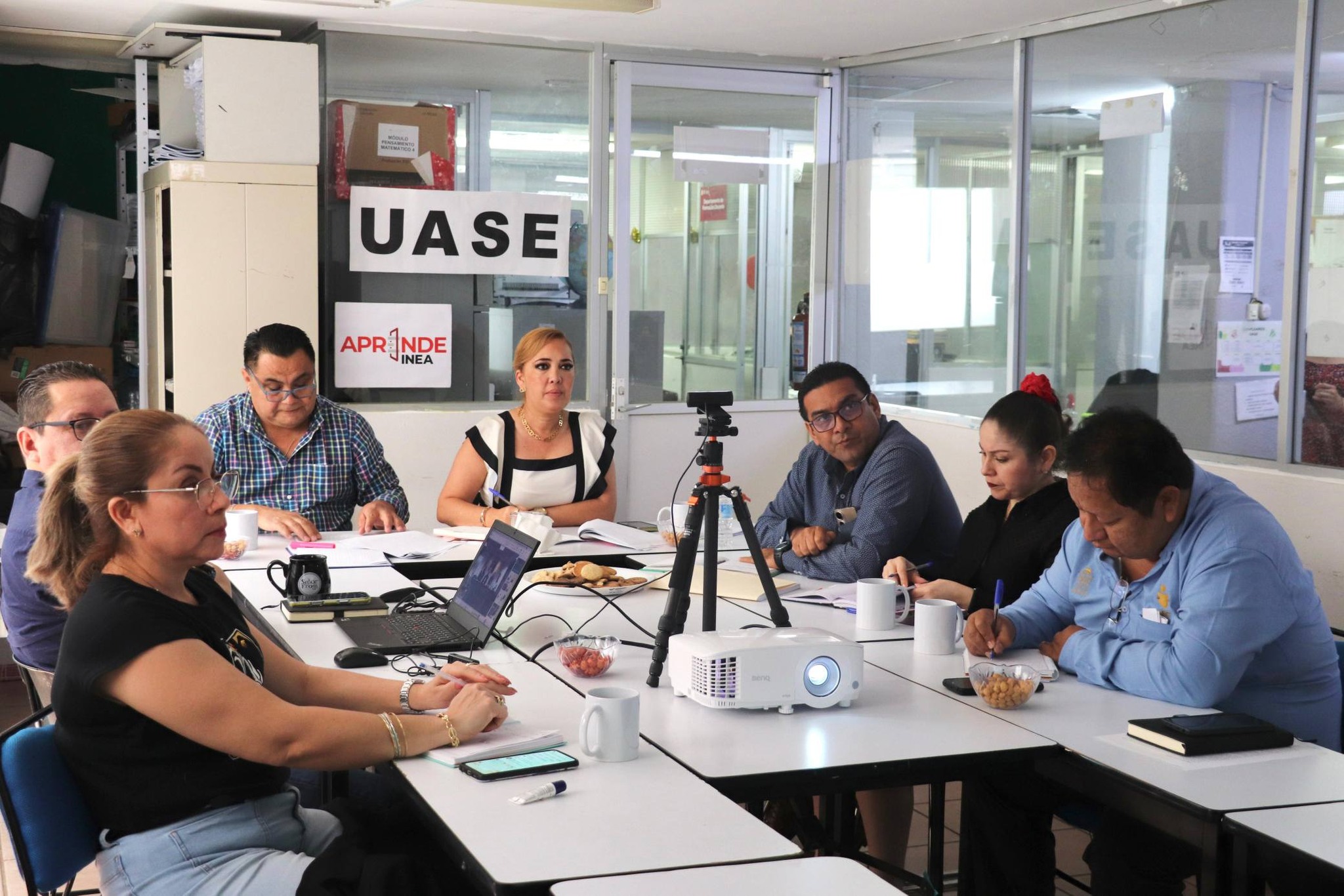 Reunión virtual INEA-IEAT