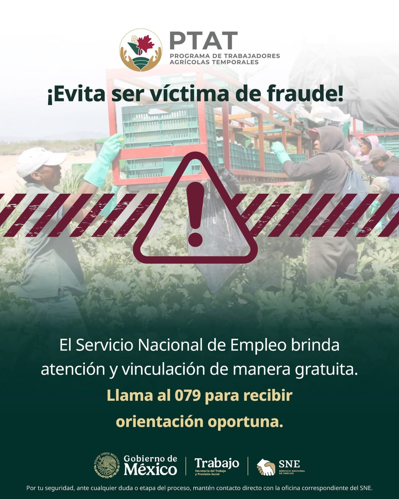Promocional NF