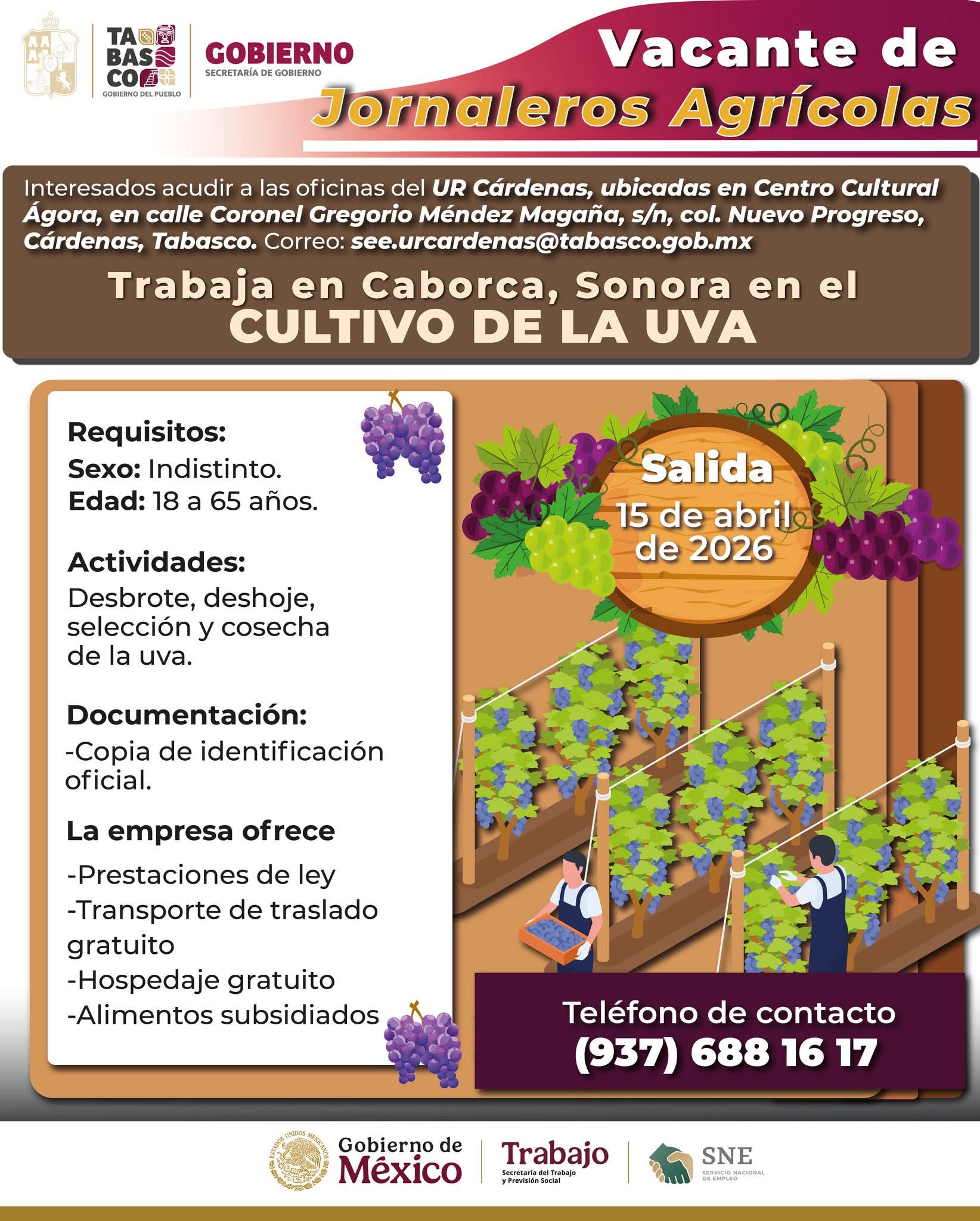 Vacantes Jornaleros Agrícolas