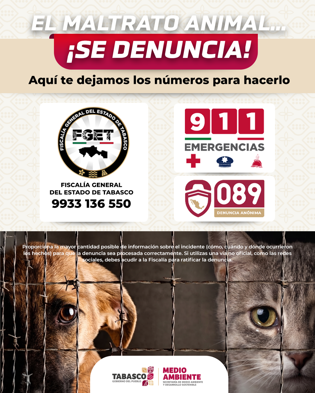 MALTRATO ANIMAL