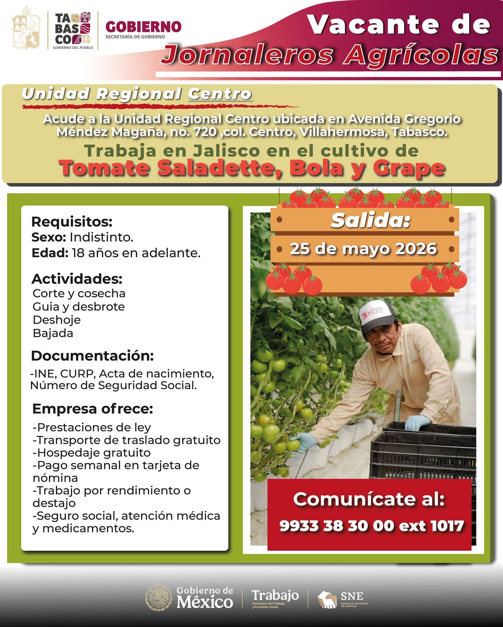 Vacante Jornaleros Agrícolas