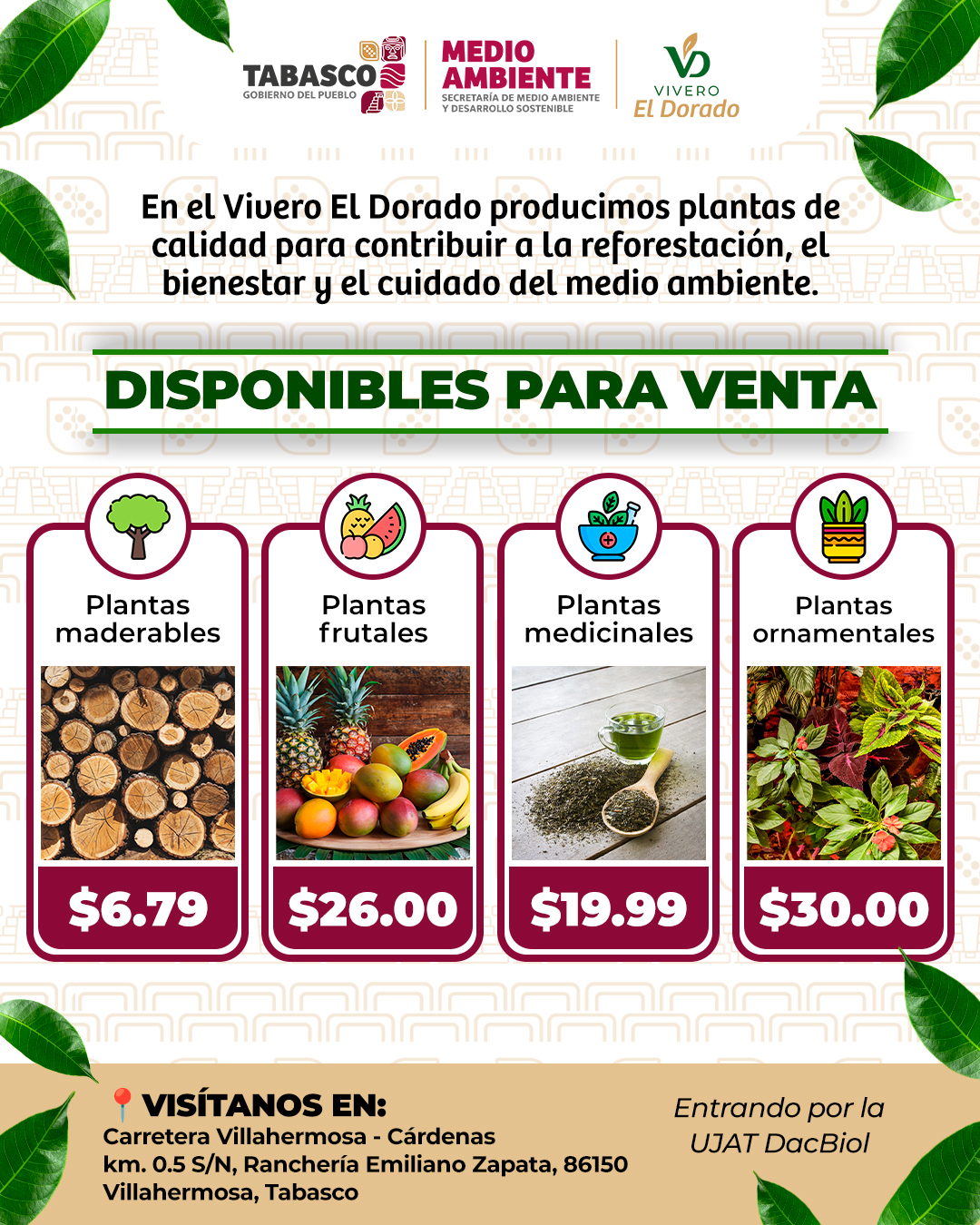 VENTA DE PLANTAS
