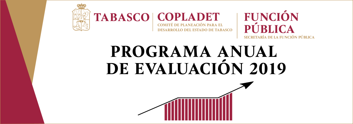 Programa Anual de Evaluación 2019