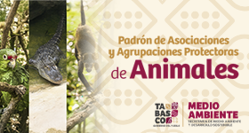 Animales