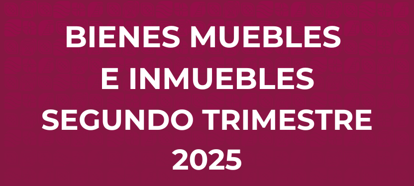 BIENES MUEBLES E INMUEBLES 2025