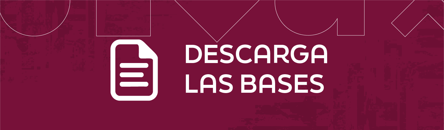 CONVOCATORIA LIDES 26