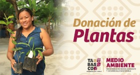 Donacion Plantas