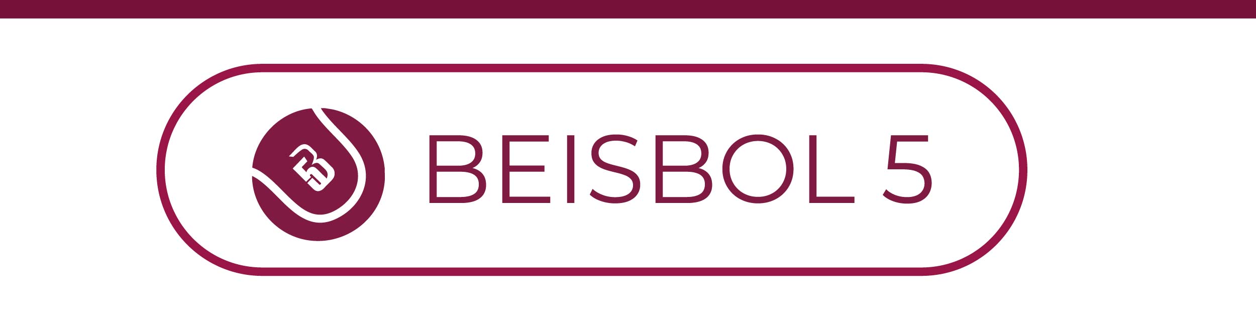 Anexo Técnico Beisbol 5