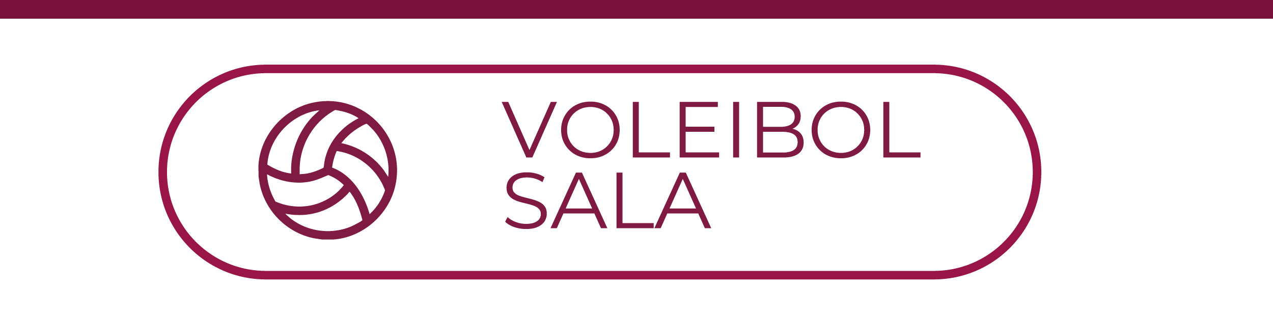Anexo Voleibol sala