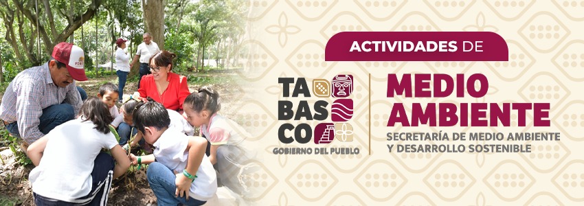 Actividades SEDENER