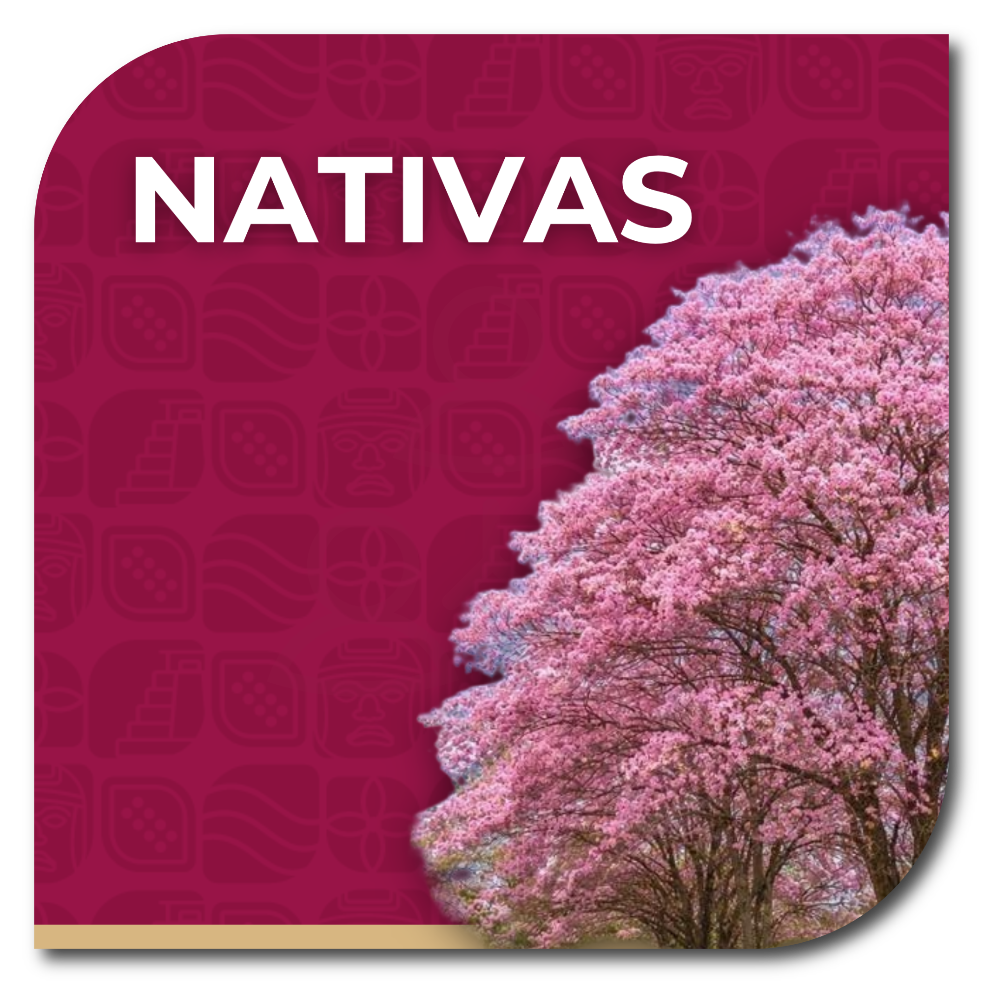 ESPECIES NATIVAS