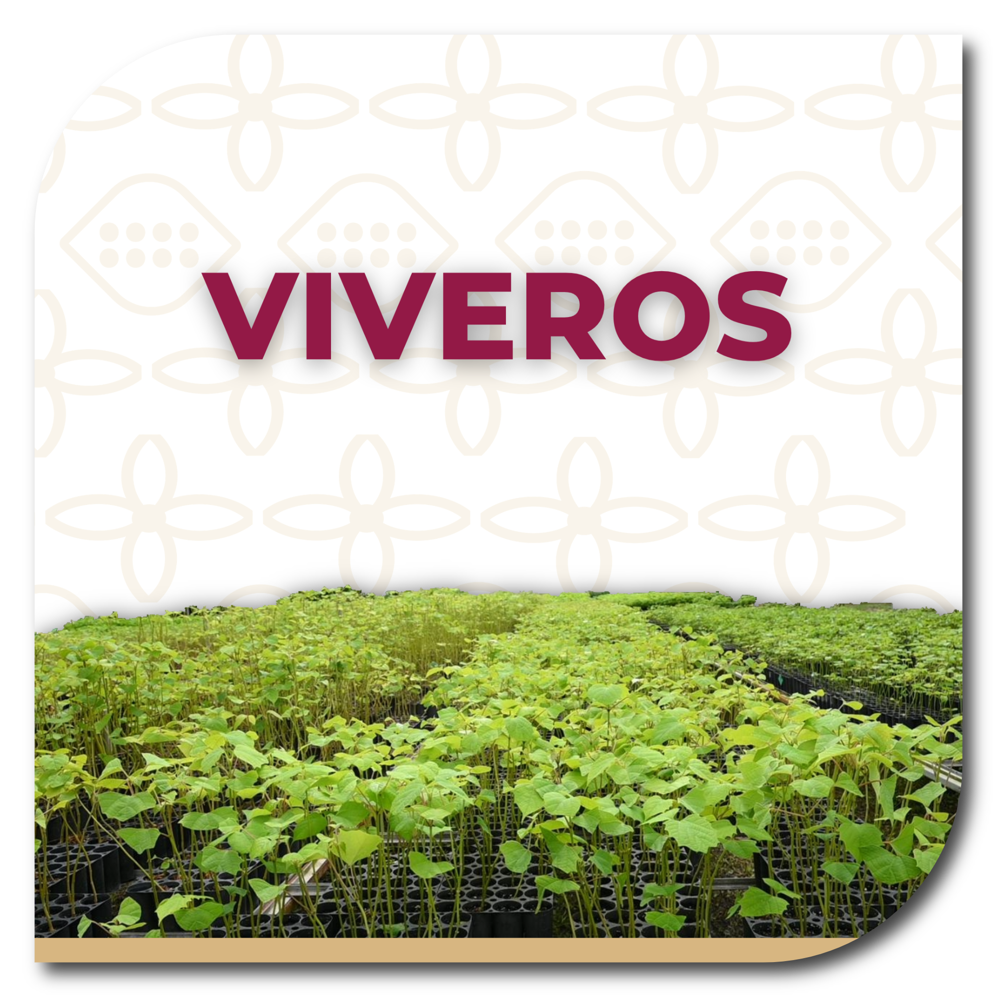 viveros