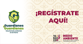 VOLUNTARIADO AMBIENTAL