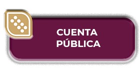 cuenta_publica