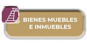 bienes_inmuebles