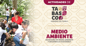 ACTIVIDADES SEMADES