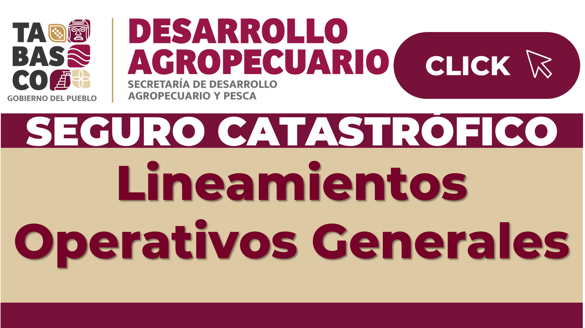 Seguro Catástrófico - Lineamientos Operativos Generales