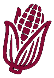 IMG_Elote
