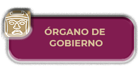 Órgano de Gobierno