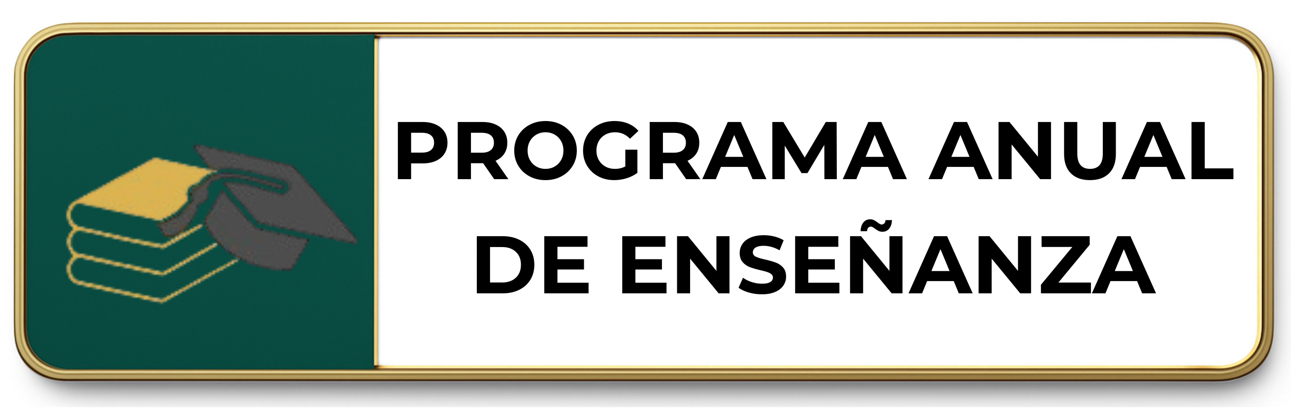 programa anual de enseñanza