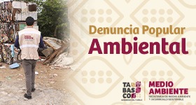 Denuncia Ambiental