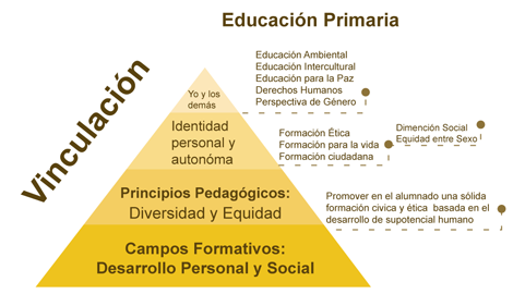 piramide_primaria.png