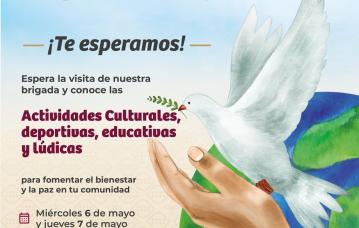 Este miércoles 6 y jueves 7 de mayo, a partir de las 9:00 de la mañana, estarán en el monumento a los Niños Héroes, en la colonia Gil y Sáenz