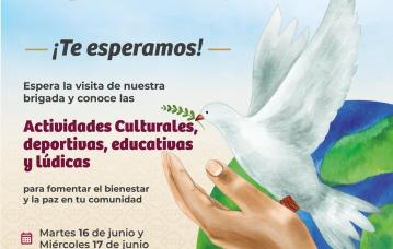 Martes 16 y miércoles 17 de junio, a partir de las 9:00 de la mañana